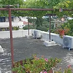 Stone House Into Amazing Garden